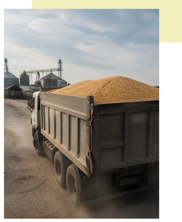 Перевозка сельхозпродукции навалом в Кемерово по цене от 3122 р. | Агросервис-Кмр